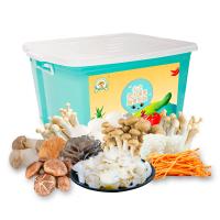 大農(nóng)莊園-正陽鮮蔬禮盒11種/約重3.5kg