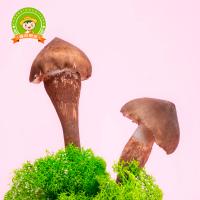 大農(nóng)莊園-炎節(jié)鮮蔬禮盒16種/約重4.8kg