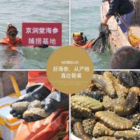 京潤堂 淡干海參 大連一級淡干海參禮盒250克