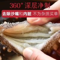京潤堂 淡干海參 大連一級淡干海參禮盒500克