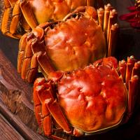 美麗蟹后 陽(yáng)澄湖大閘蟹398型門店自提精裝款蟹卡